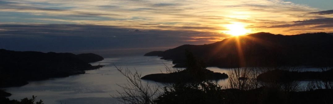 Treaty Education banner